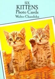 Cover of: Six Kittens Photo Cards (Small-Format Card Books) by Walter Chandoha