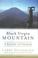 Cover of: Black Virgin Mountain