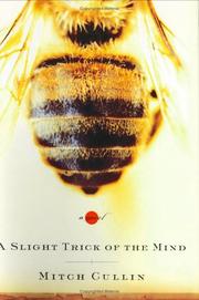 Cover of: A slight trick of the mind: a novel