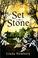 Cover of: Set in stone