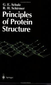 Cover of: Principles of protein structure