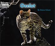 Cover of: Ocelot (Welcome Books)