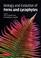 Cover of: Biology and Evolution of Ferns and Lycophytes