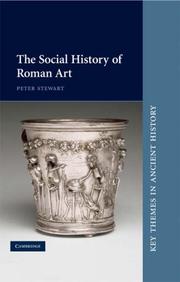 The Social History of Roman Art (Key Themes in Ancient History) by Peter Stewart
