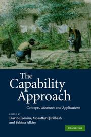 Cover of: The Capability Approach: Concepts, Measures and Applications
