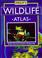 Cover of: Philip's Wildlife Atlas