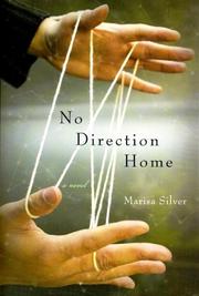 No Direction Home by Marisa Silver