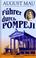 Cover of: Führer durch Pompeji