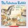 Cover of: Velveteen Rabbit (paperback & audio cd)