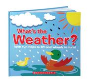 Cover of: What's The Weather? (Little Secrets)