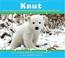 Cover of: How One Little Polar Bear Captivated The World (Knut)