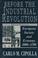 Cover of: Before the industrial revolution