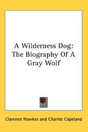 Cover of: A Wilderness Dog by Clarence Hawkes