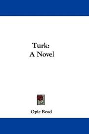 Cover of: Turk: A Novel
