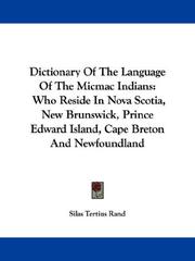 Dictionary of the language of the Micmac Indians by Silas Tertius Rand
