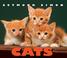 Cover of: Cats