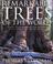 Cover of: Remarkable Trees of the World
