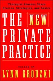 Cover of: The New Private Practice by Lynn Grodzki