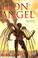 Cover of: Iron Angel