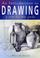 Cover of: An Introduction to Drawing