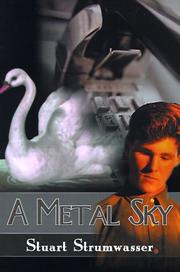 Cover of: A Metal Sky