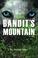 Cover of: Bandit's Mountain