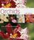 Cover of: Orchids (Hamlyn Care Manual)