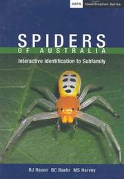 Cover of: Spiders of Australia: Interactive Identification to Subfamily