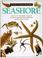 Cover of: Seashore (Eyewitness Books)