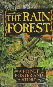 Cover of: A Rain Forest Pop-Up Poster And Story