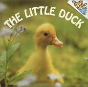 Cover of: The little duck by Judy Dunn