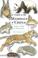 Cover of: A Guide to the Mammals of China