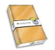 Cover of: Life & Style Compact Bible - Crocodile Yellow by NKJV TRANSLATION
