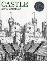 Castle by David Macaulay