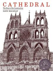 Cover of: Cathedral: The Story of Its Construction (Sandpiper)