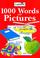Cover of: 1000 Words and Pictures (LADYBD/SL4)