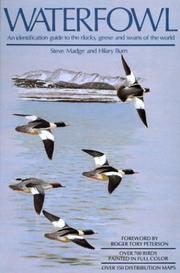 Cover of: Waterfowl by Steven Madge