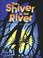 Cover of: The Shiver in the River (Literacy Links New Big Books)