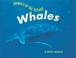 Cover of: Animals of the Ocean - Whales