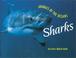 Cover of: Animals of the Ocean - Sharks