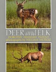 Cover of: Deer and elk by Dorothy Hinshaw Patent