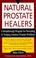 Cover of: Natural Prostate Healers