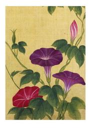Cover of: Japanese Flowers Note Cards by Galison/Mudpuppy
