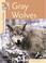 Cover of: Returning Wildlife - Gray Wolves (Returning Wildlife)