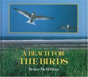 A beach for the birds by Bruce McMillan