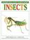 Cover of: Insects