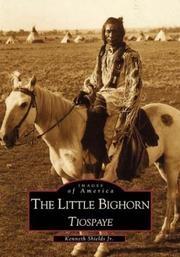 Cover of: The Little Bighorn: Tiospaye   (MT)  (Images of America)