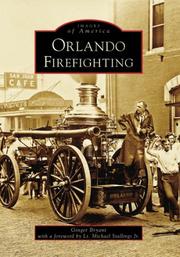 Orlando Firefighting by Ginger Bryant
