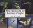 Cover of: The secrets of animal flight