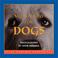 Cover of: Meditations For Dogs